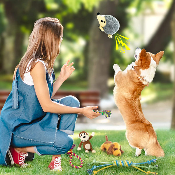 Dog Squeaky Toys for Small Dogs, 12 Pack Puppy Toys for Teething Cute Small Dog Toys Stuffed Plush Dog Toy Bundle Natural Cotton Puppy Rope Toy Dog Chew Toys for Puppies Pet Toys for Dogs - VITSCAN