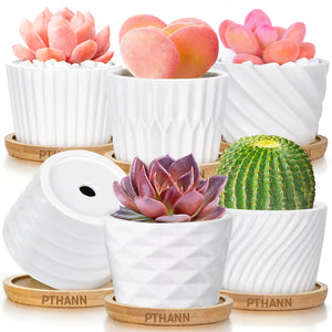 Pthann Succulent Pots, White Ceramic Pots for Plants Set of 6 Succulent Planters with Drainage Tray Bamboo Small Plant Pots 3 Inch Planter Pots Cactus Mini Flowers Pots with Saucer Garden Pots - VITSCAN