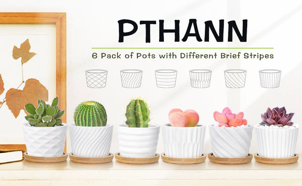 Pthann Succulent Pots, White Ceramic Pots for Plants Set of 6 Succulent Planters with Drainage Tray Bamboo Small Plant Pots 3 Inch Planter Pots Cactus Mini Flowers Pots with Saucer Garden Pots - VITSCAN